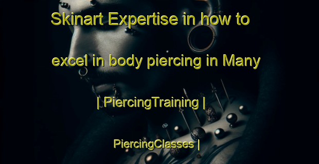 Skinart Expertise in how to excel in body piercing in Many | PiercingTraining | PiercingClasses | SkinartTraining-Poland